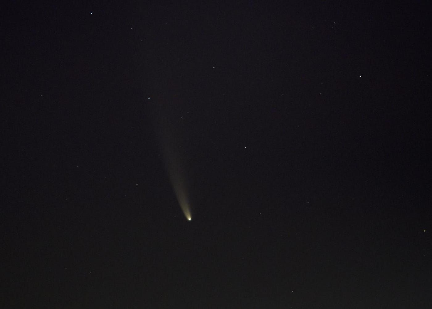 Comet NEOWISE with a long tail low in a dark sky before sunrise