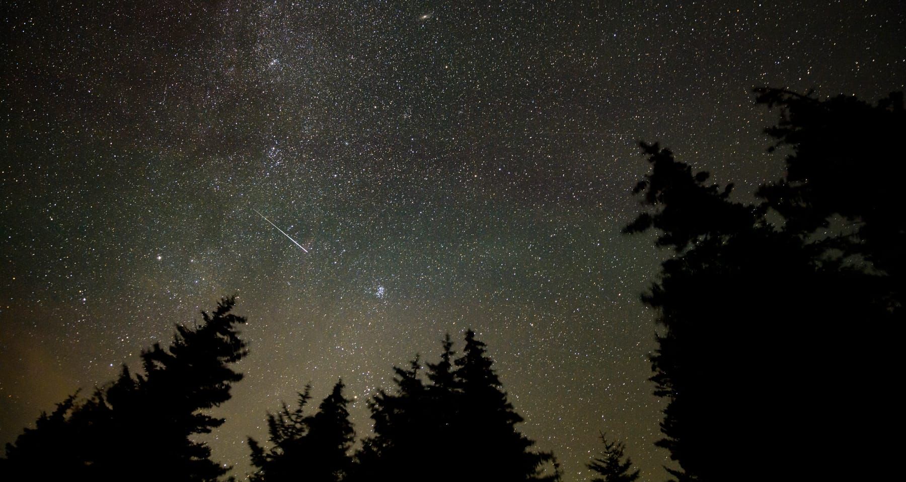 A meteor streak across a starry sky above dark fir trees