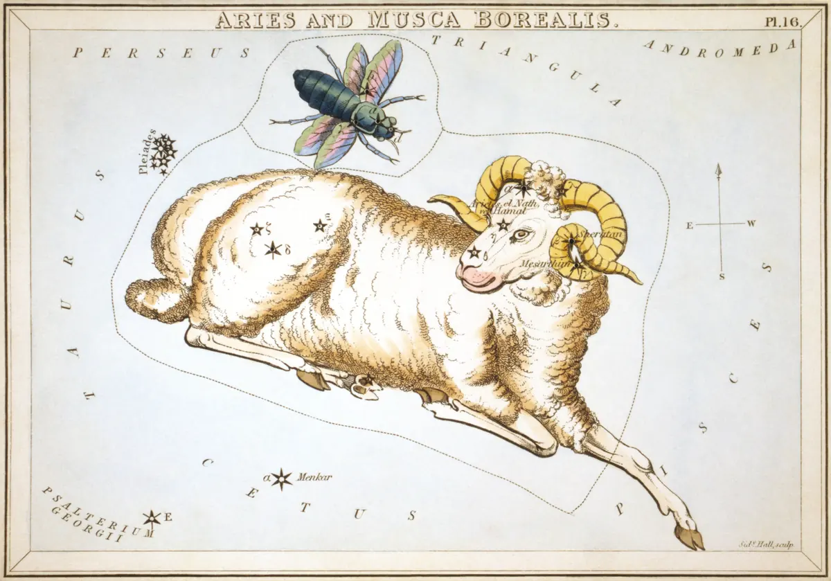 Aries as drawn by Sidney Hall in Urania's Mirror, 1824.