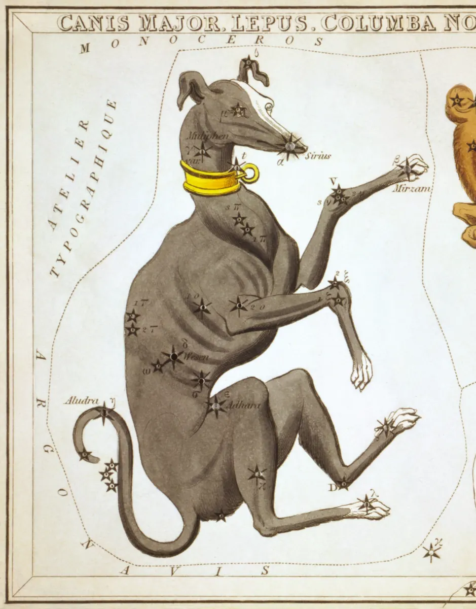Canis Major as drawn by Sidney Hall in Urania's Mirror, 1824.