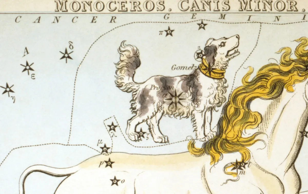 Canis Minor as drawn by Sidney Hall in Urania's Mirror, 1824.