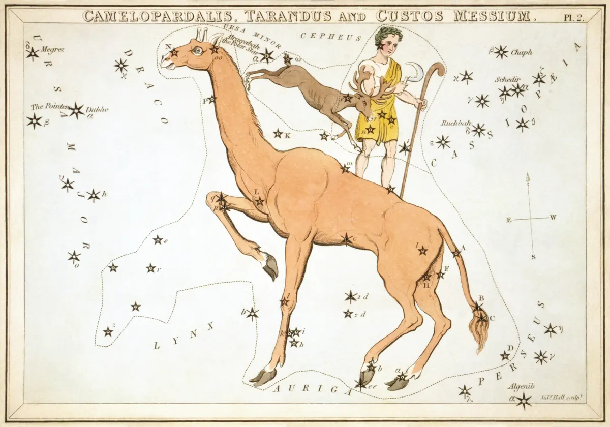 Camelopardalis as drawn by Sidney Hall in Urania's Mirror, 1824.