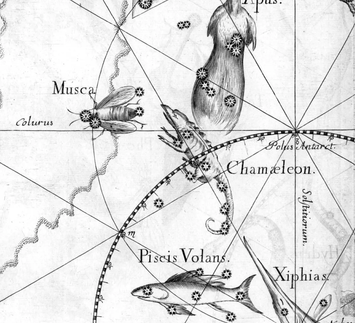 Chamaeleon as drawn by Johannes Hevelius in Firmamentum Sobiescianum, 1690.
