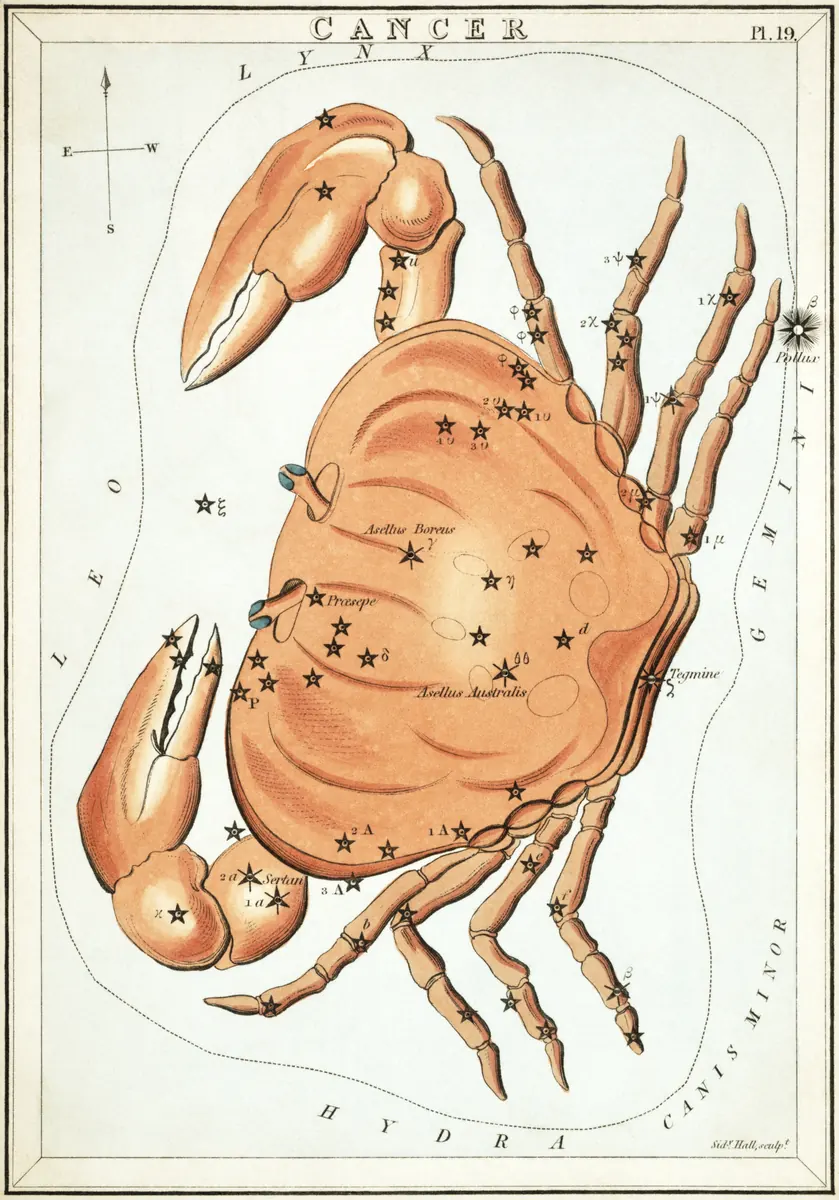 Cancer as drawn by Sidney Hall in Urania's Mirror, 1824.