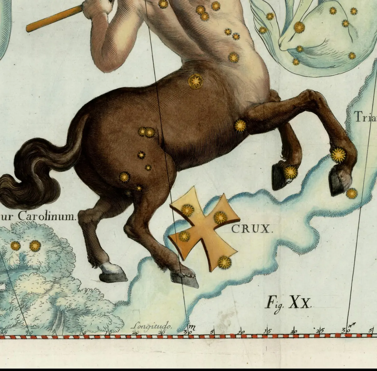 Crux as drawn by Johannes Hevelius in Firmamentum Sobiescianum, 1690.