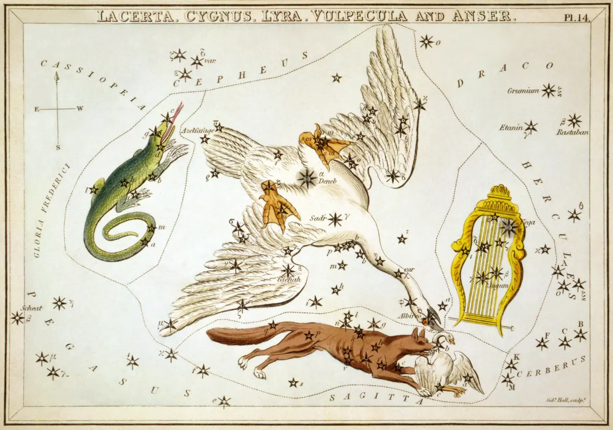 Cygnus as drawn by Sidney Hall in Urania's Mirror, 1824.
