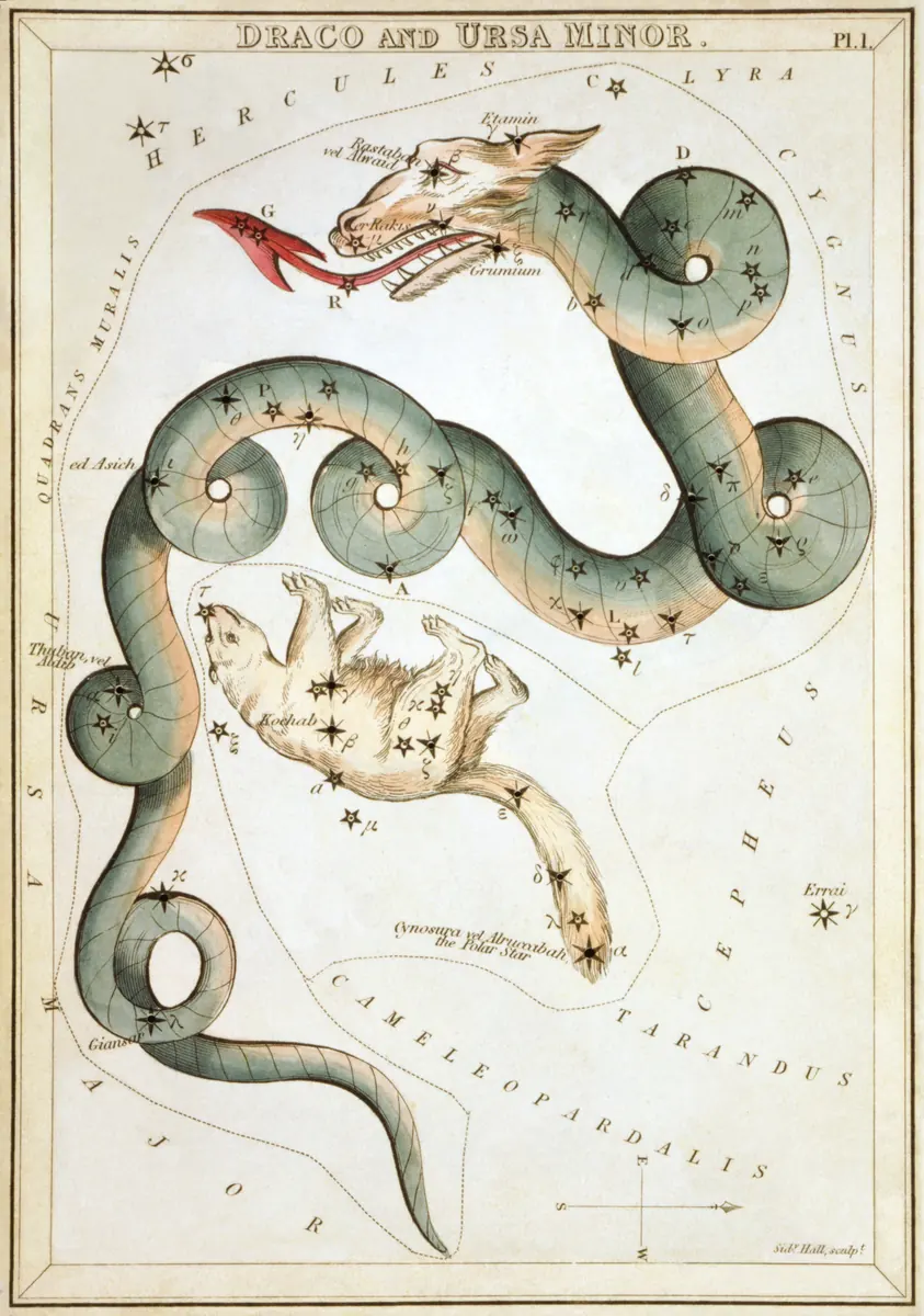 Draco as drawn by Sidney Hall in Urania's Mirror, 1824.