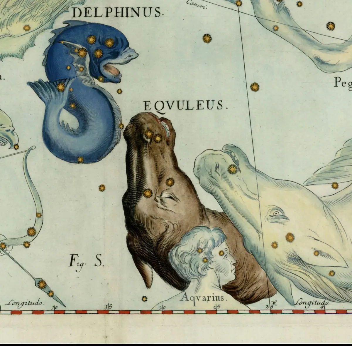 Equuleus as drawn by Johannes Hevelius in Firmamentum Sobiescianum, 1690.