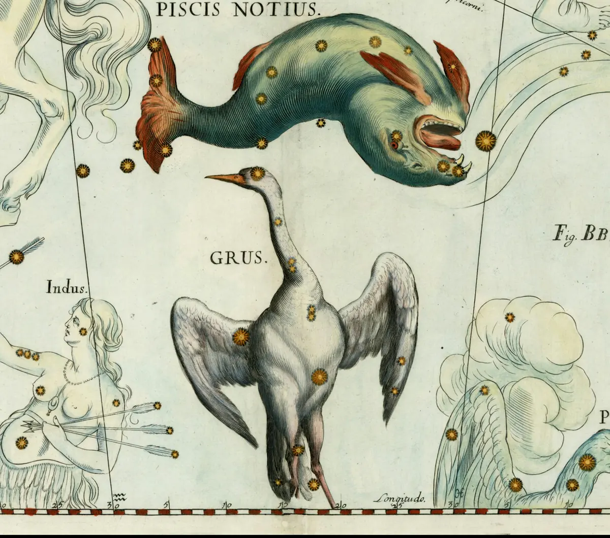 Grus as drawn by Johannes Hevelius in Firmamentum Sobiescianum, 1690.