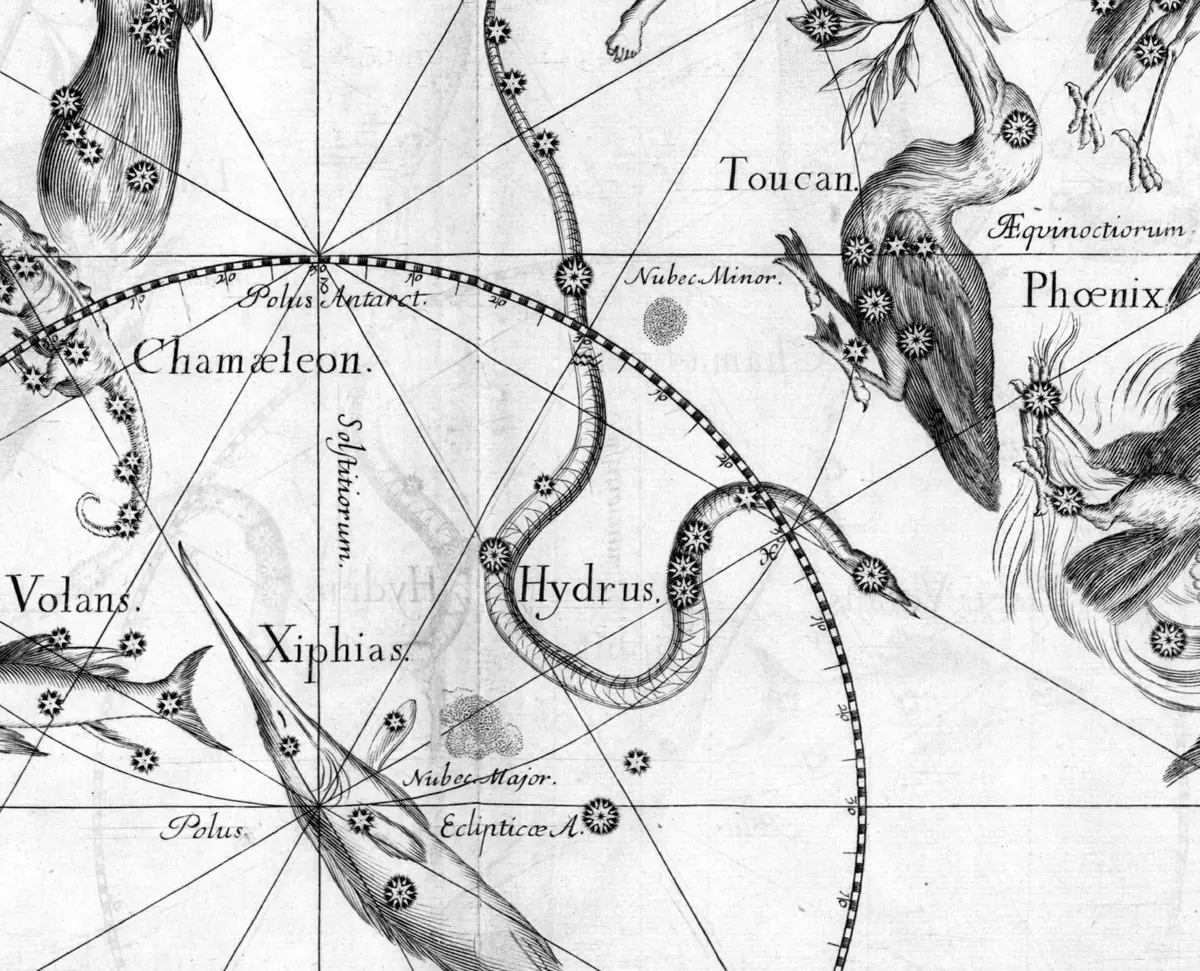 Hydrus as drawn by Johannes Hevelius in Firmamentum Sobiescianum, 1690.