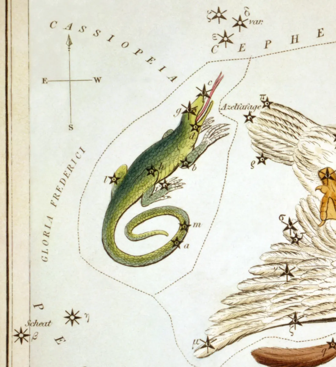 Lacerta as drawn by Sidney Hall in Urania's Mirror, 1824.