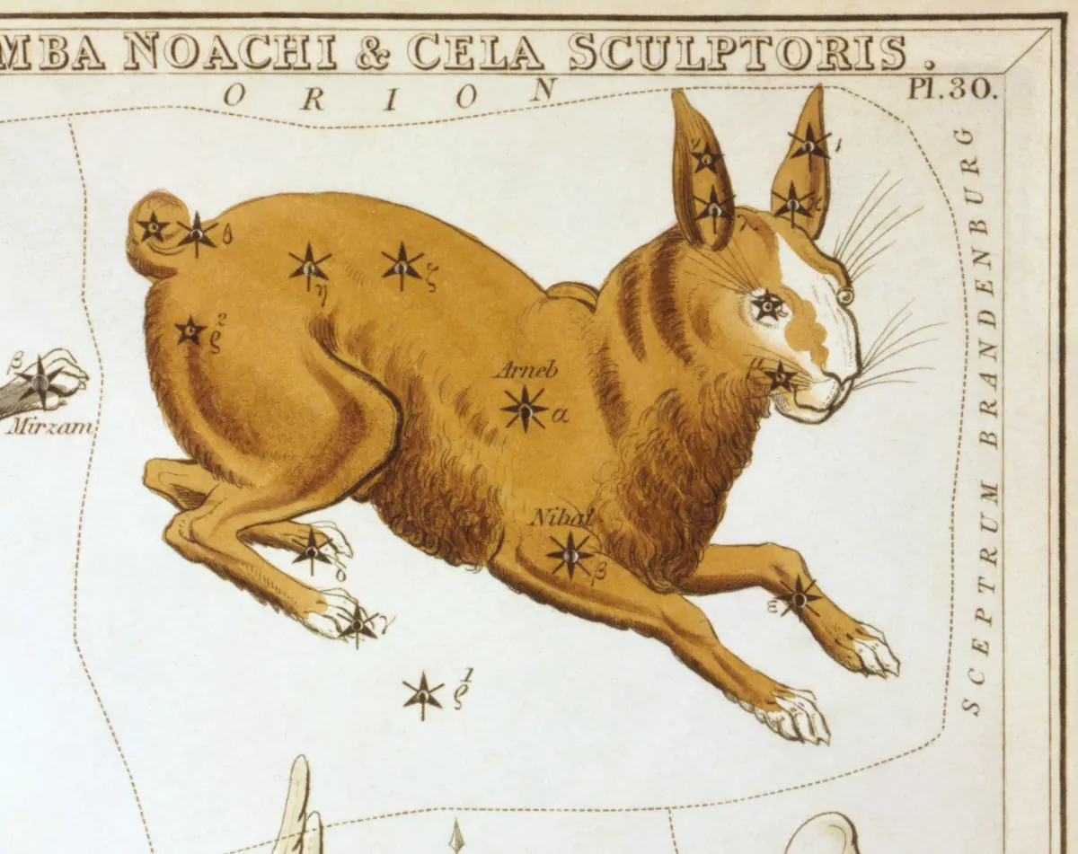 Lepus as drawn by Sidney Hall in Urania's Mirror, 1824.