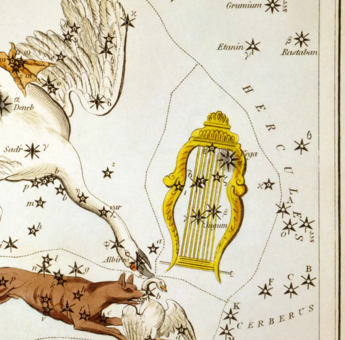 Lyra as drawn by Sidney Hall in Urania's Mirror, 1824.
