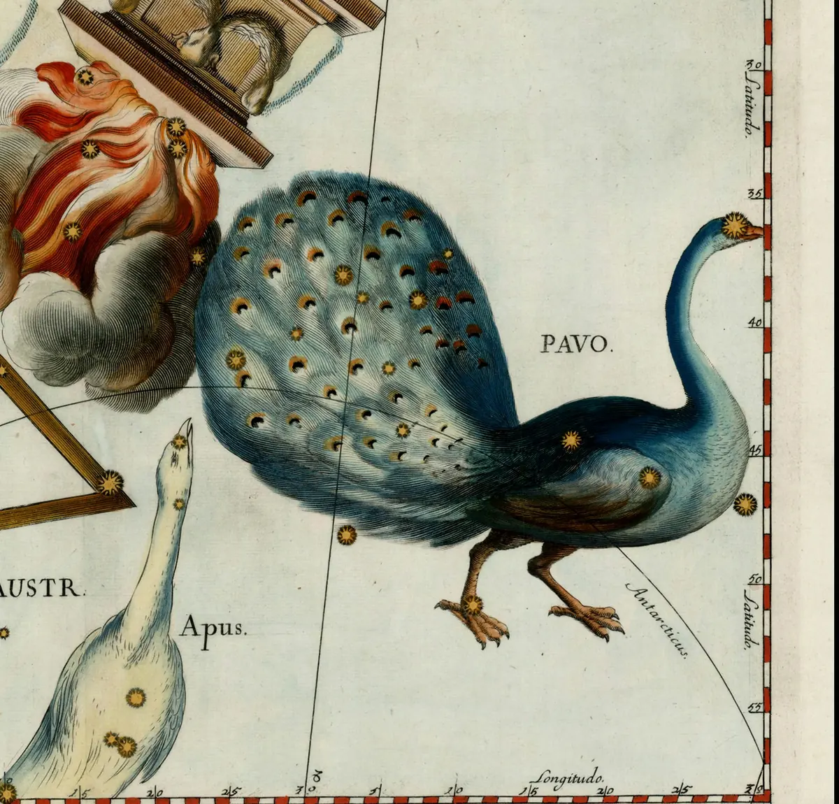 Pavo as drawn by Johannes Hevelius in Firmamentum Sobiescianum, 1690.