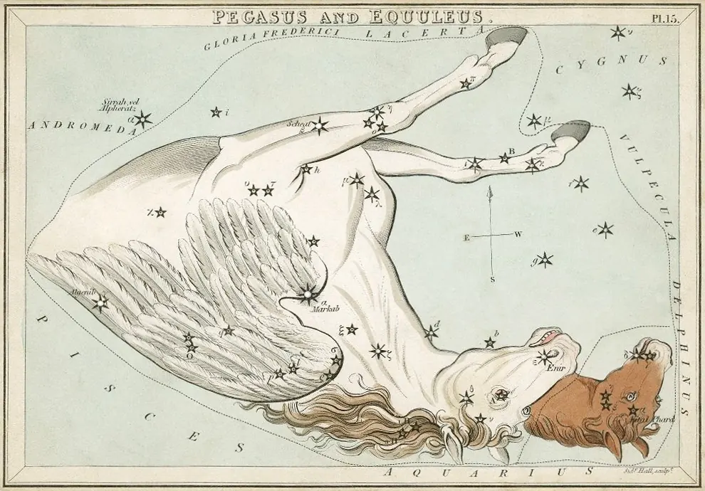 Pegasus as drawn by Sidney Hall in Urania's Mirror, 1824.