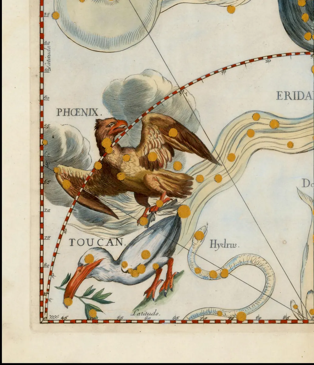 Phoenix as drawn by Johannes Hevelius in Firmamentum Sobiescianum, 1690.
