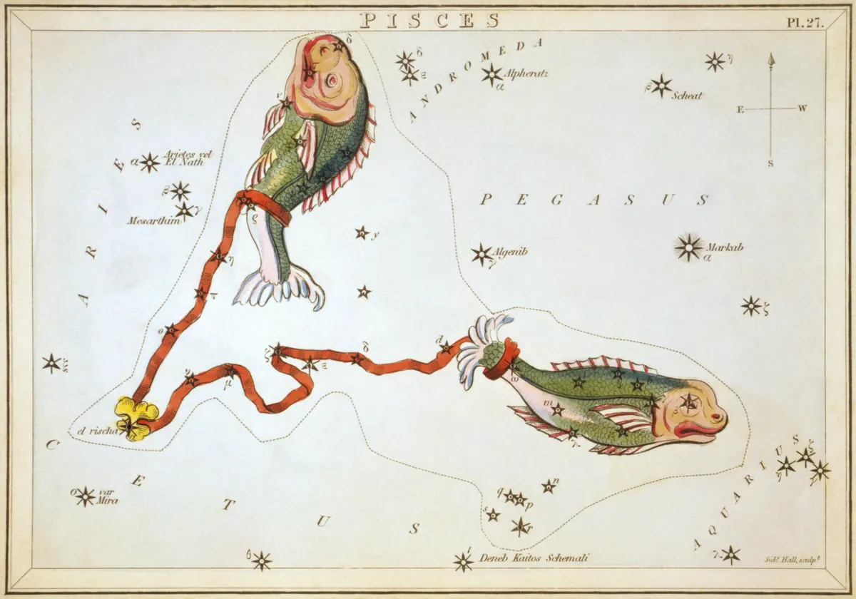 Pisces as drawn by Sidney Hall in Urania's Mirror, 1824.