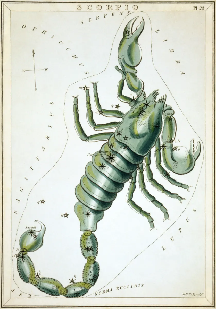 Scorpius as drawn by Sidney Hall in Urania's Mirror, 1824.