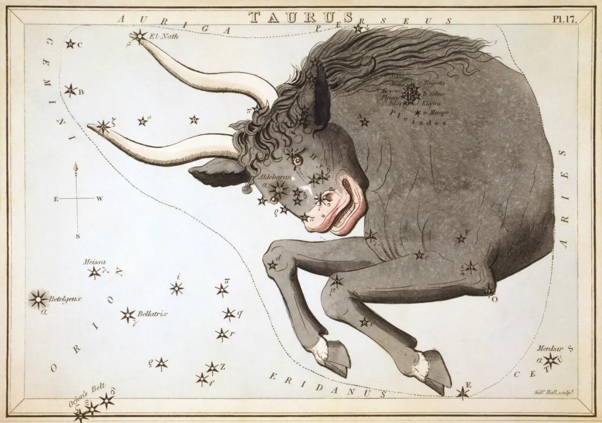 Taurus as drawn by Sidney Hall in Urania's Mirror, 1824.