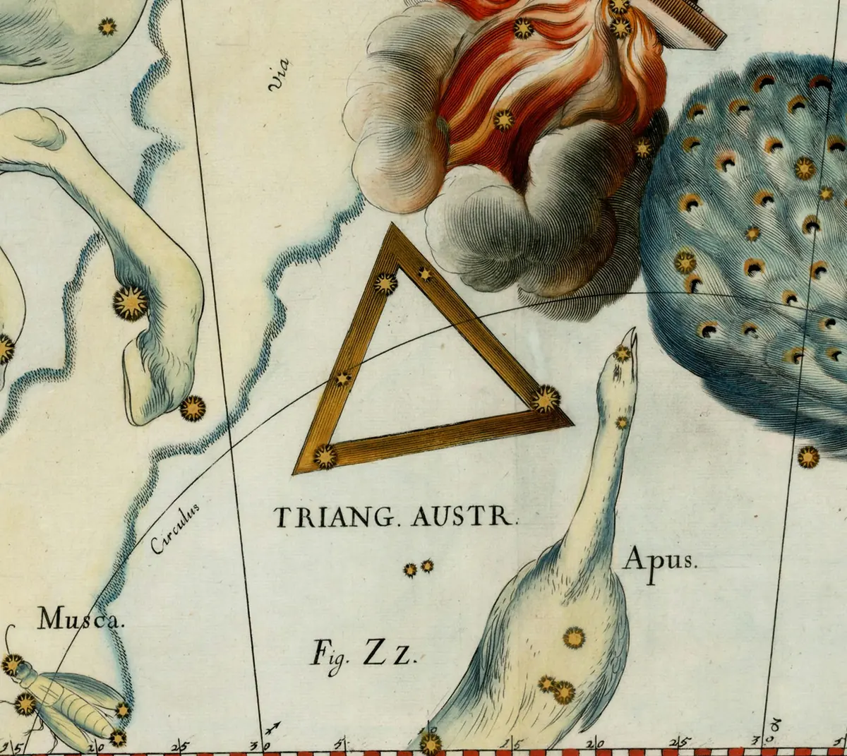 Triangulum Australe as drawn by Johannes Hevelius in Firmamentum Sobiescianum, 1690.