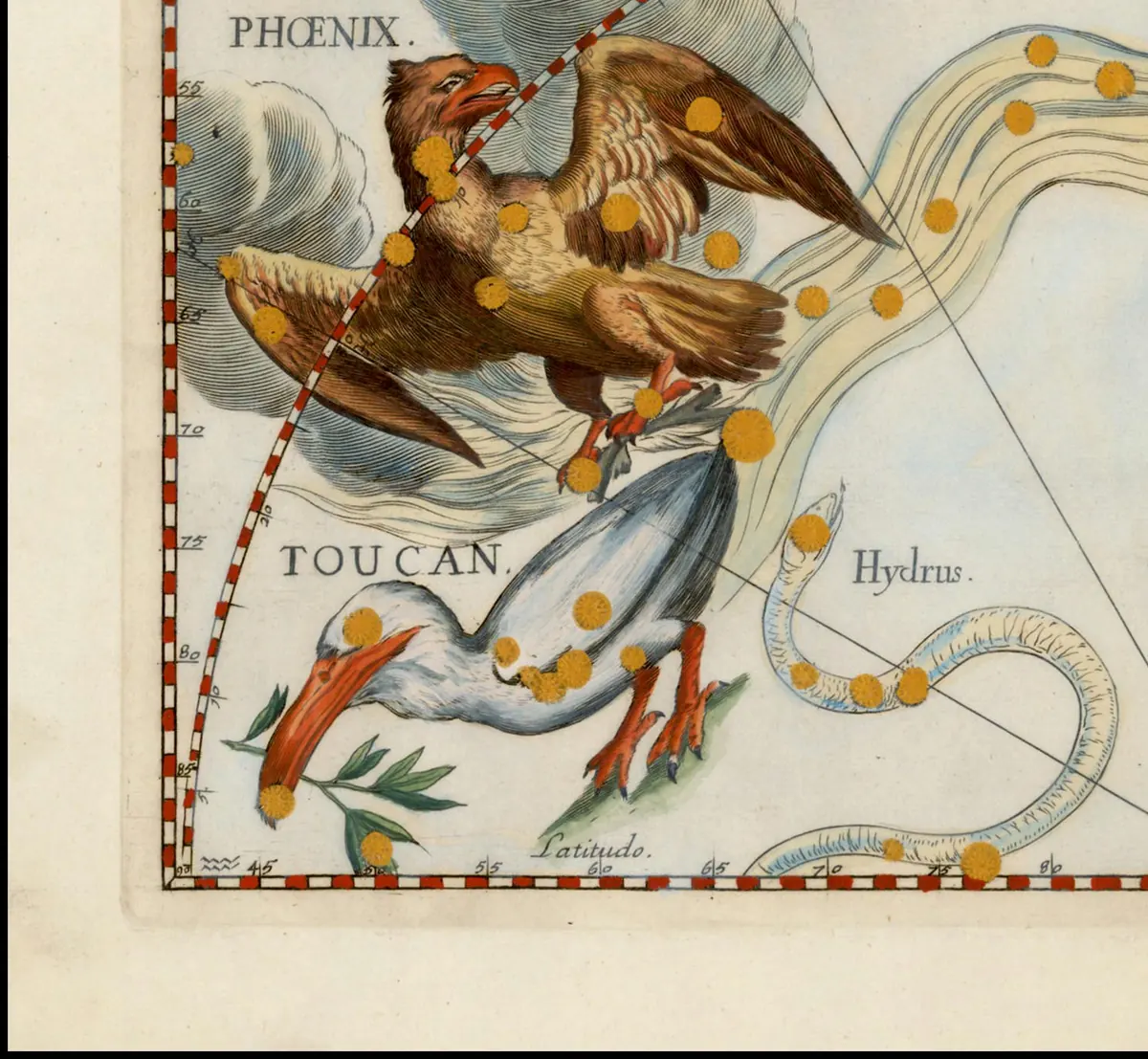 Tucana as drawn by Johannes Hevelius in Firmamentum Sobiescianum, 1690.