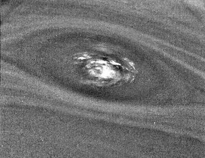 This bulls-eye view of Neptune's small dark spot (D2) was obtained by NASA's Voyager 2's narrow-angle camera. Banding surrounding the feature indicates unseen strong winds.